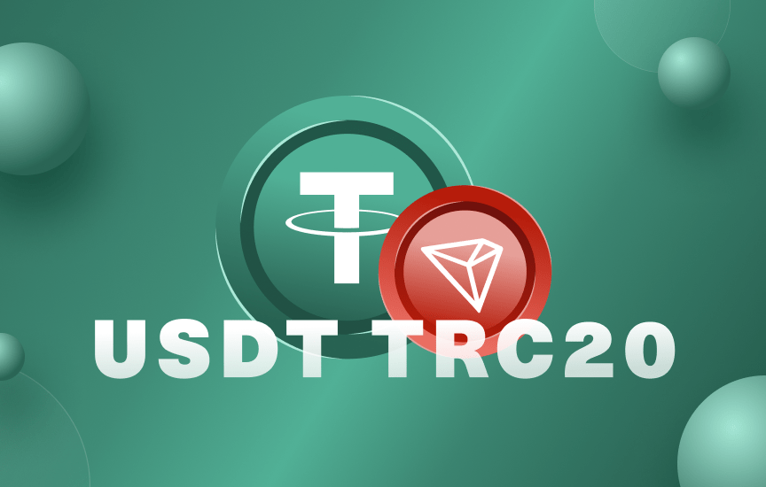 USDT TRC20 payment